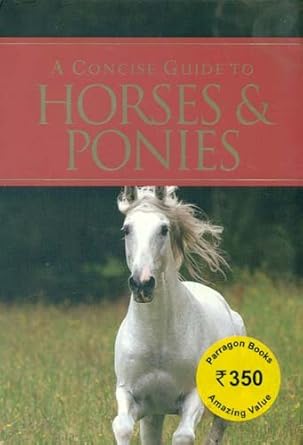 A Concise Guide To Horses & Ponies